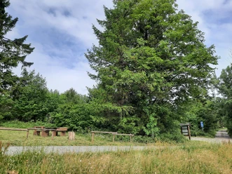 Parken und Rasten am Sohl