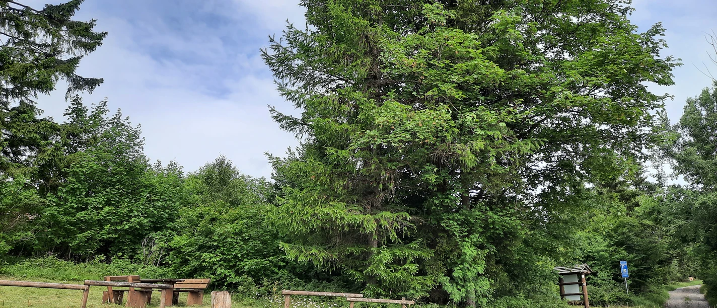 Parken und Rasten am Sohl