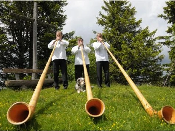 Alphornfreunde Vitznau