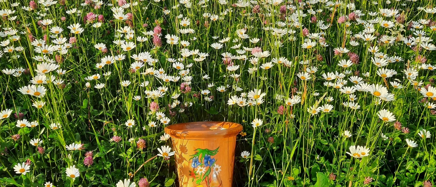 999d3044 9eaa 4bfc b1e8 02aa100a40bf