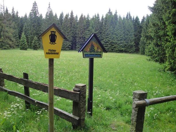 Himmelswiese im NSG Halbemeile