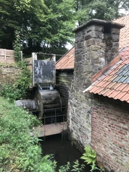 Hammerhart Historische Wassermühle mit laufendem Mühlrad und altem Gemäuer, umgeben von Pflanzen.