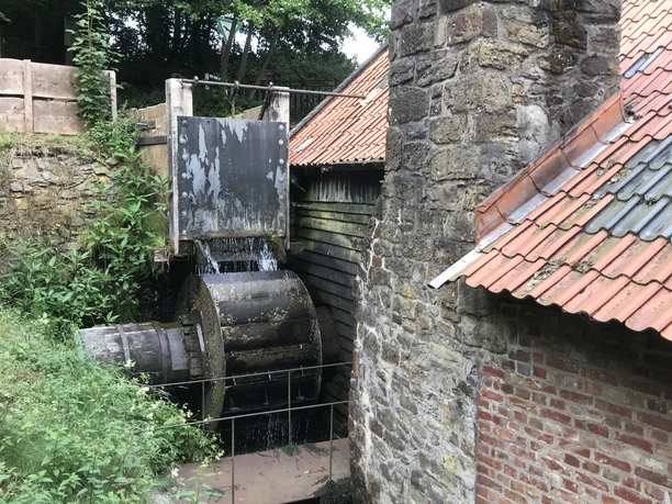 Hammerhart Historische Wassermühle mit laufendem Mühlrad und altem Gemäuer, umgeben von Pflanzen.