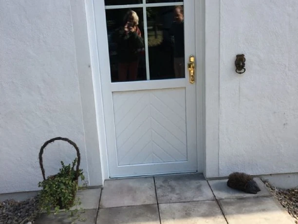 Schlosspark Hollwinkel Eingang Eingangstür zum Schlosspark Hollwinkel mit Glasfenster und kleiner Terrasse