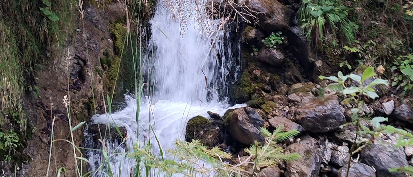 Kraftort Mundl Oberau