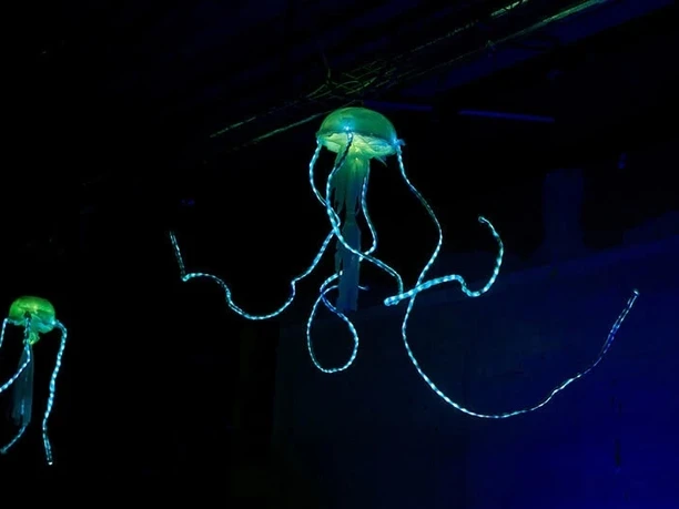 JELLYWORLD photo by Juna Photodesign