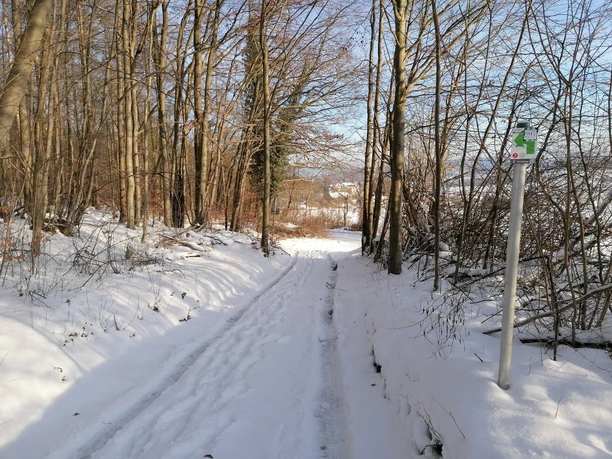 Büchting Gedenkstein_Schutzhütte_Ausblick