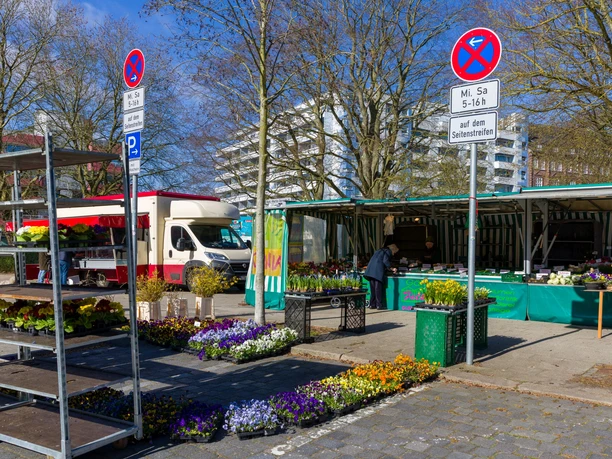 S6019 (c) Helmut Gross_Erlebnis Bremerhaven_WEB.jpg Blumen- und Gemüsevielfalt auf dem Wochenmarkt in der Bogenstraße in Bremerhaven