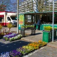 S6020 (c) Helmut Gross_Erlebnis Bremerhaven_WEB.jpg Verschiedene Blumen am Stand auf dem Wochenmarkt in der Bogenstraße