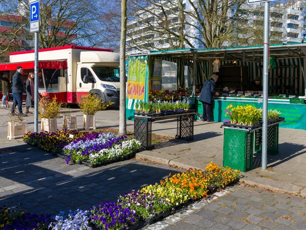 S6020 (c) Helmut Gross_Erlebnis Bremerhaven_WEB.jpg Verschiedene Blumen am Stand auf dem Wochenmarkt in der Bogenstraße