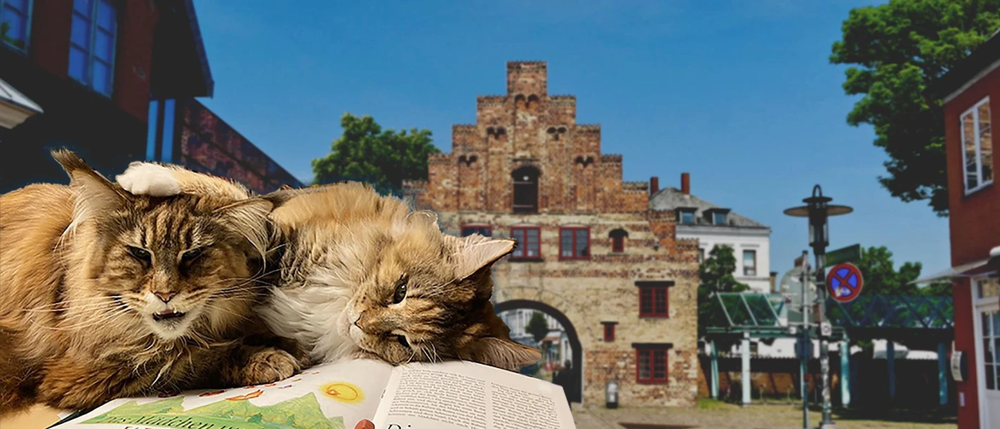 Kopfbild-Katzenmaerchen-Norderstrasse-aff