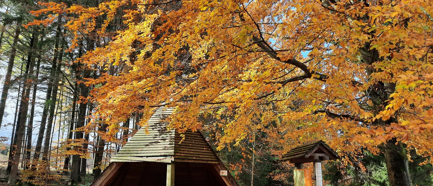 Ein Rastplatz, der zum Verweilen einlädt