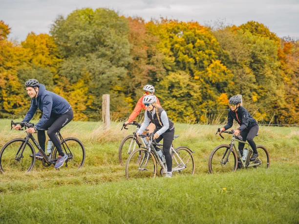 Vier Radfahrer:innen auf einer Tour im Bergischen Land im Herbst, entlang eines Feldes mit Bäumen.