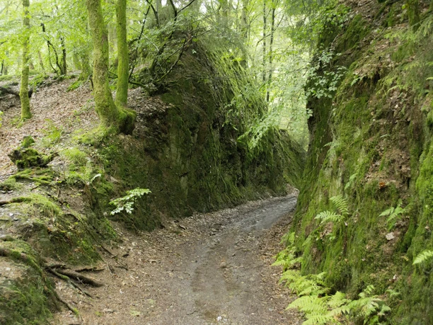 Felswände Eichhörnchenweg