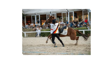 Mounted Games Weltmeisterschaft.png