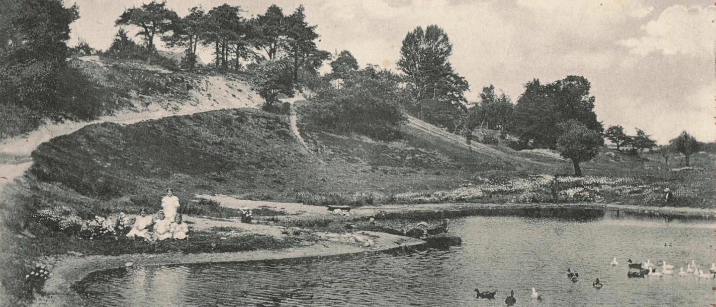 AK Grünhof gelaufen 1912