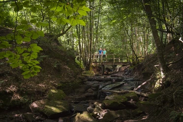 Bachlauf an der Mühlenbach Schluchten-Tour