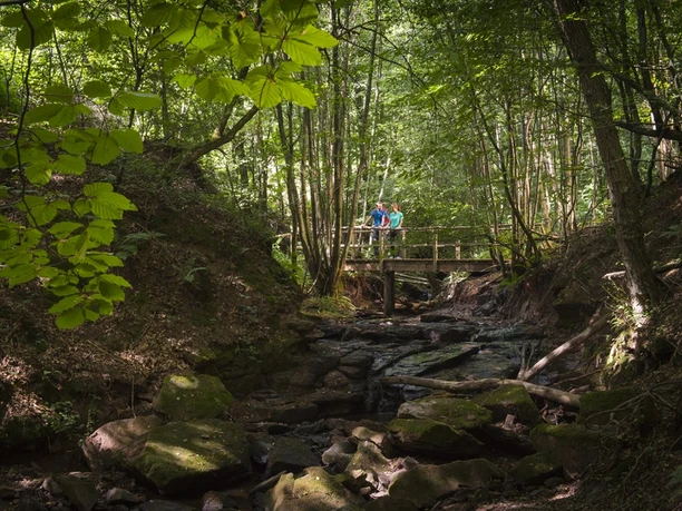Bachlauf an der Mühlenbach Schluchten-Tour
