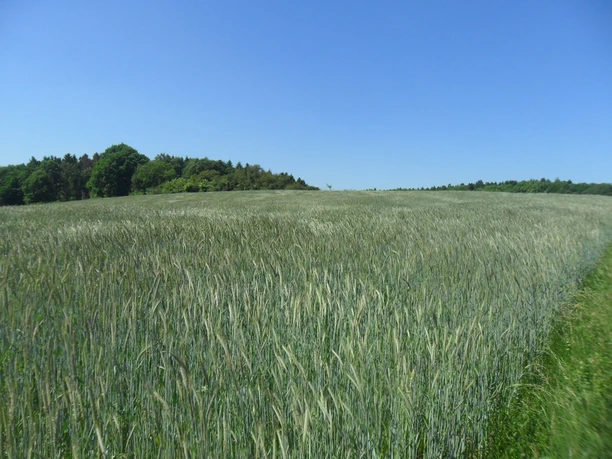 Aussicht bei der Schönstatt-Kapelle