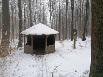 Märchenhütte im Schnee Kleine hölzerne Schutzhütte mit schneebedecktem Dach in einem verschneiten Winterwald.