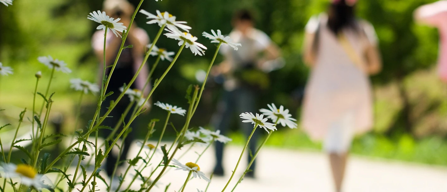 Spaziergang im Sommer