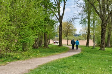 Voorbeeldafbeelding Spaziergang im Park