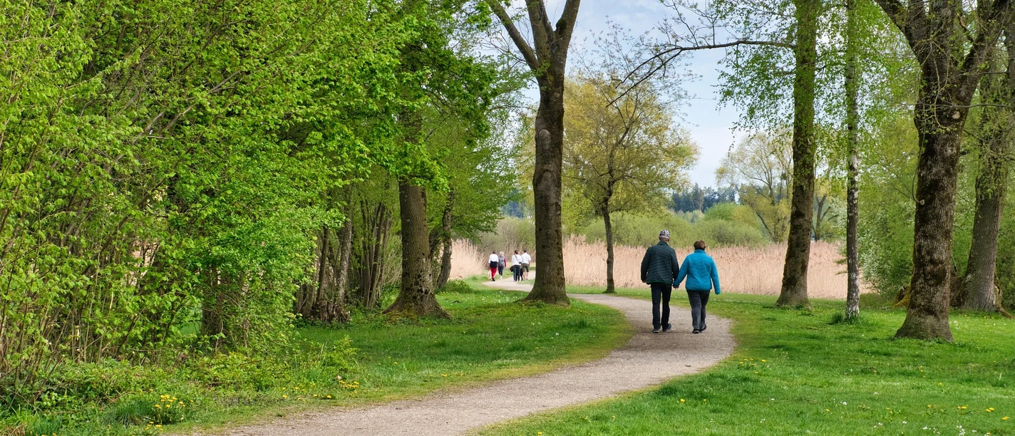 Walk | sample image Spaziergang im Park