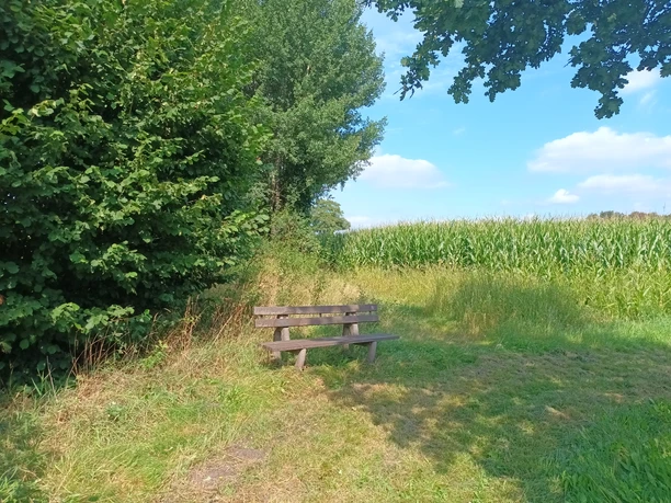 Sitzbank am Rundweg Tensfelder Au_Foto von Sebastian Misgajski.jpg