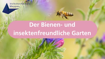Der Bienen- und insektenfreundliche Garten