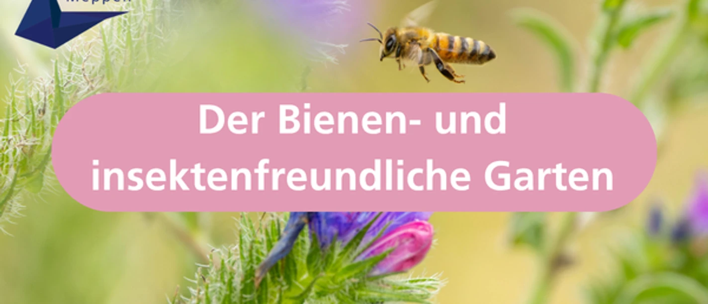 Der Bienen- und insektenfreundliche Garten