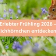 Erlebter Frühling 2026 – Eichhörnchen entdecken!