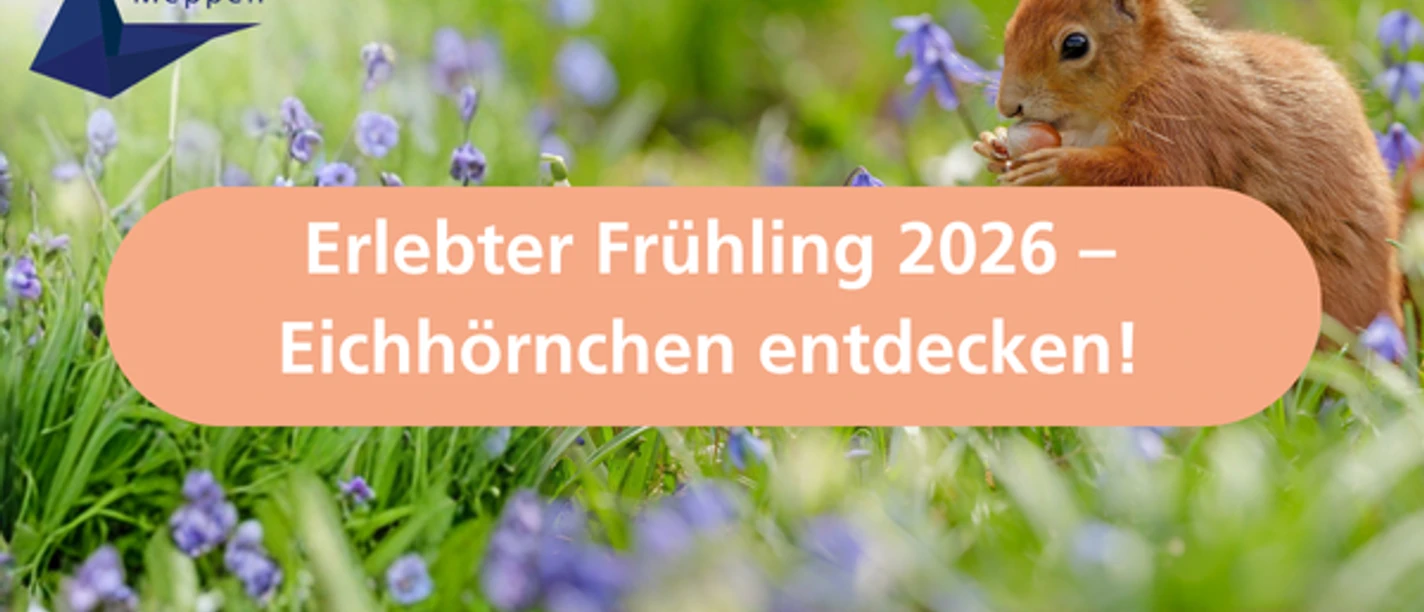 Erlebter Frühling 2026 – Eichhörnchen entdecken!