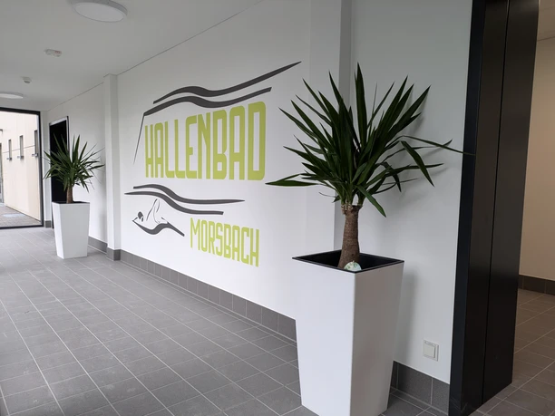Innenbereich Hallenbad Moderner Eingangsbereich des Hallenbads Morsbach mit Schriftzug und Grünpflanzen.