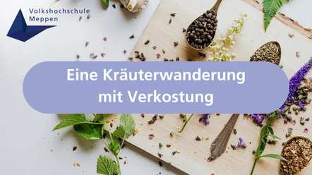 Eine Kräuterwanderung mit Verkostung