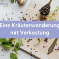 Eine Kräuterwanderung mit Verkostung