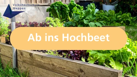 Ab ins Hochbeet