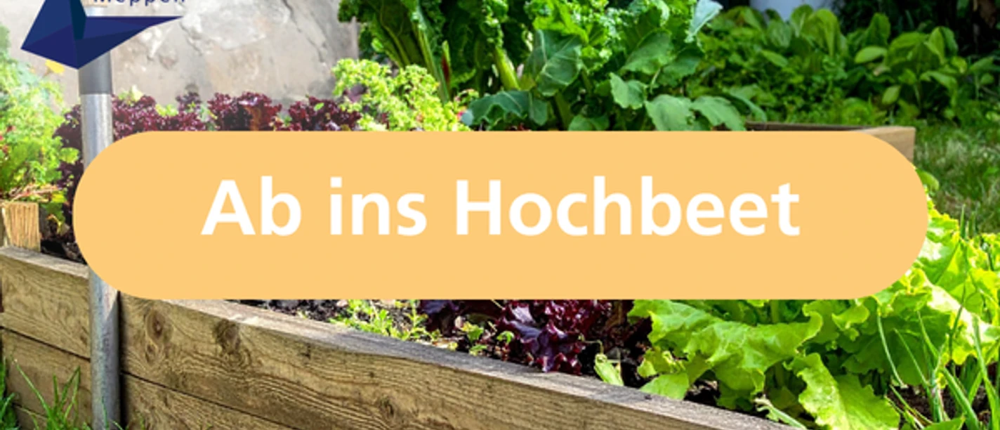 Ab ins Hochbeet
