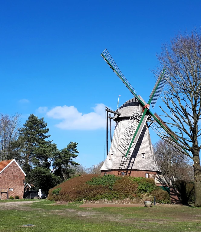 Mersmühle beim Mühlenmuseum Haren (Ems) ©Emsland Tourismus GmbH.jpg
