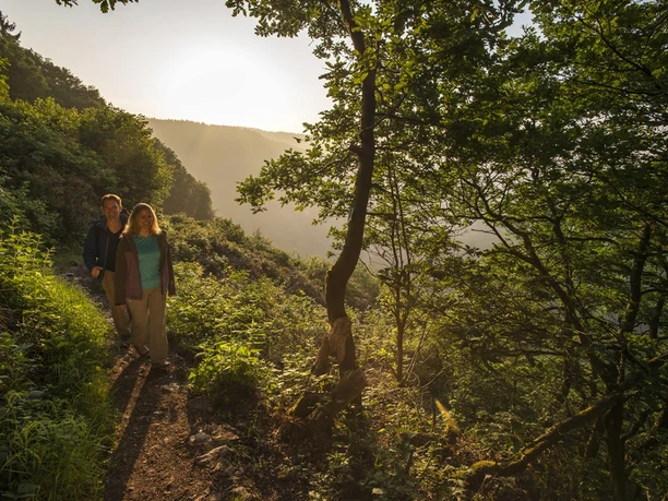 Wanderung an den Steilhängen der Traumschleife Cloefpfad