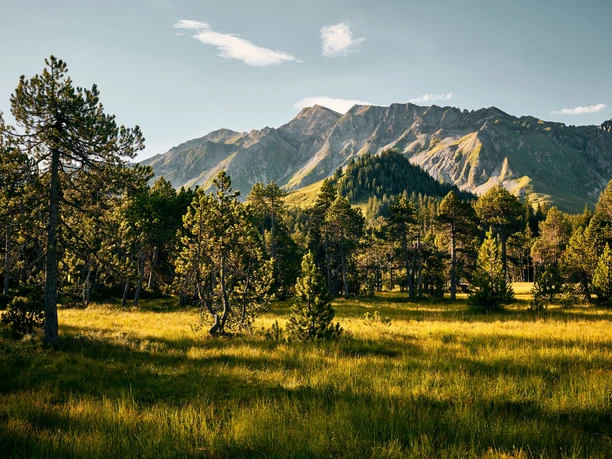 Herbst Moor Moorlandschaft Salwide Soerenberg Beat Brechbuehl (2) (4)
