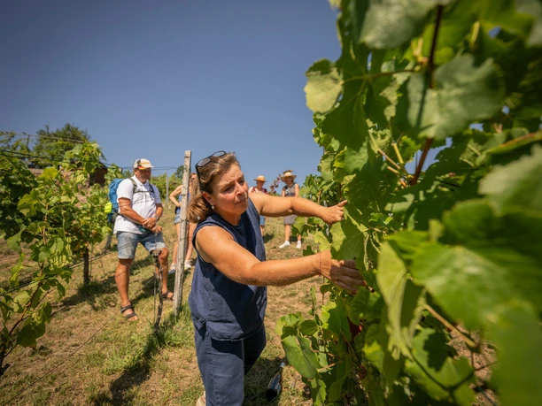 Führung im Weingut Mariaberg Führung im Weingut Mariaberg