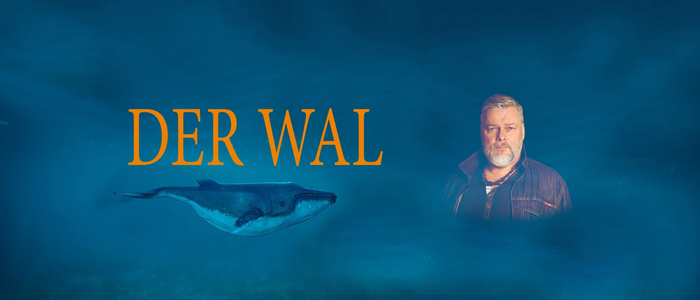 4_Der Wal_Key Visual_quer_mit Titel_c_Konzertdirektion Landgraf.jpg