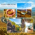 Weingut Van Volxem