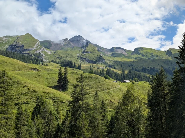 PXL 20250803 134312389 MP