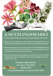 Setzlingsmarkt