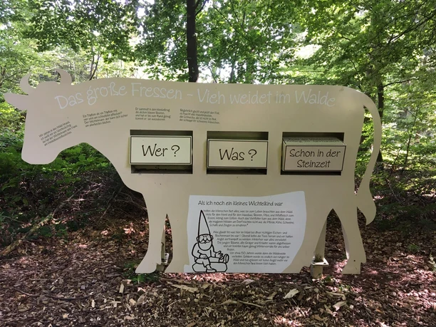 Wichtelpfad Sievershausen_Vieh weidet im Wald