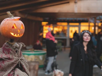 Halloween im Wingster Waldzoo