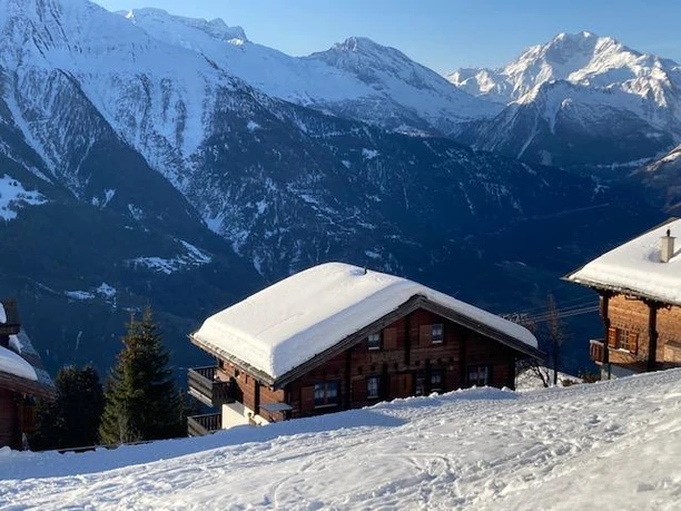 Chalet Dame Winter