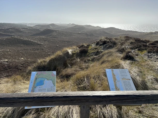 Infotafeln auf der Uwe-Düne