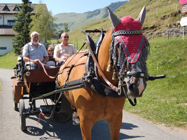 Horse carriage ride in summer